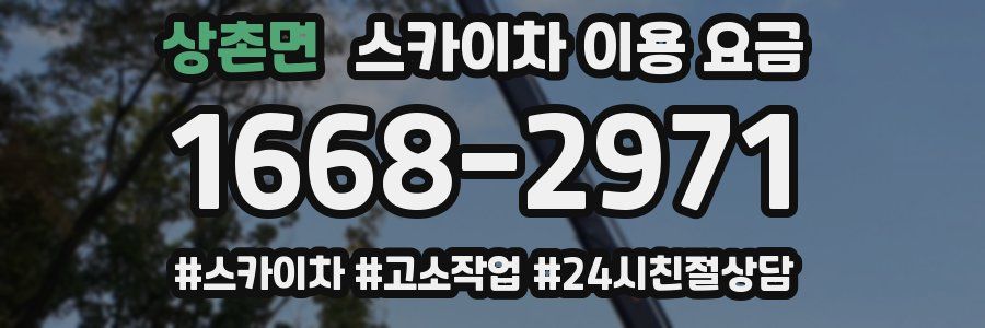 상촌면 스카이차 이용 요금