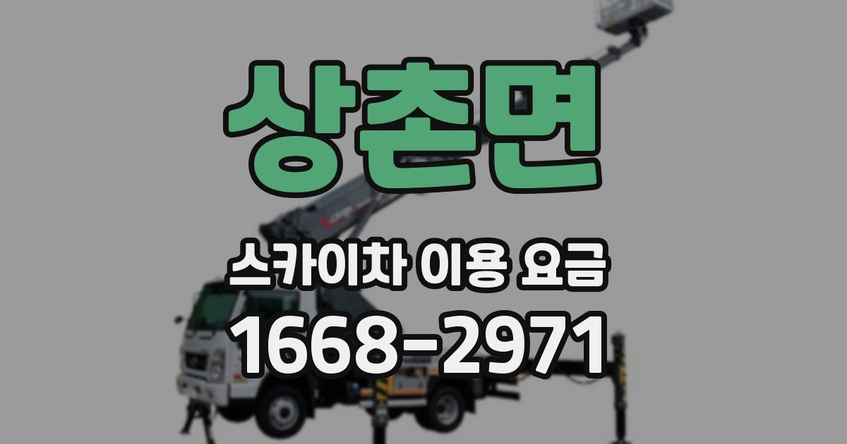 상촌면 스카이차 이용 요금