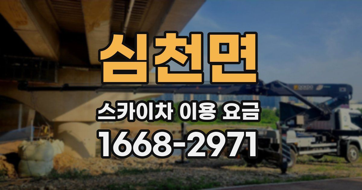 심천면 스카이차 이용 요금