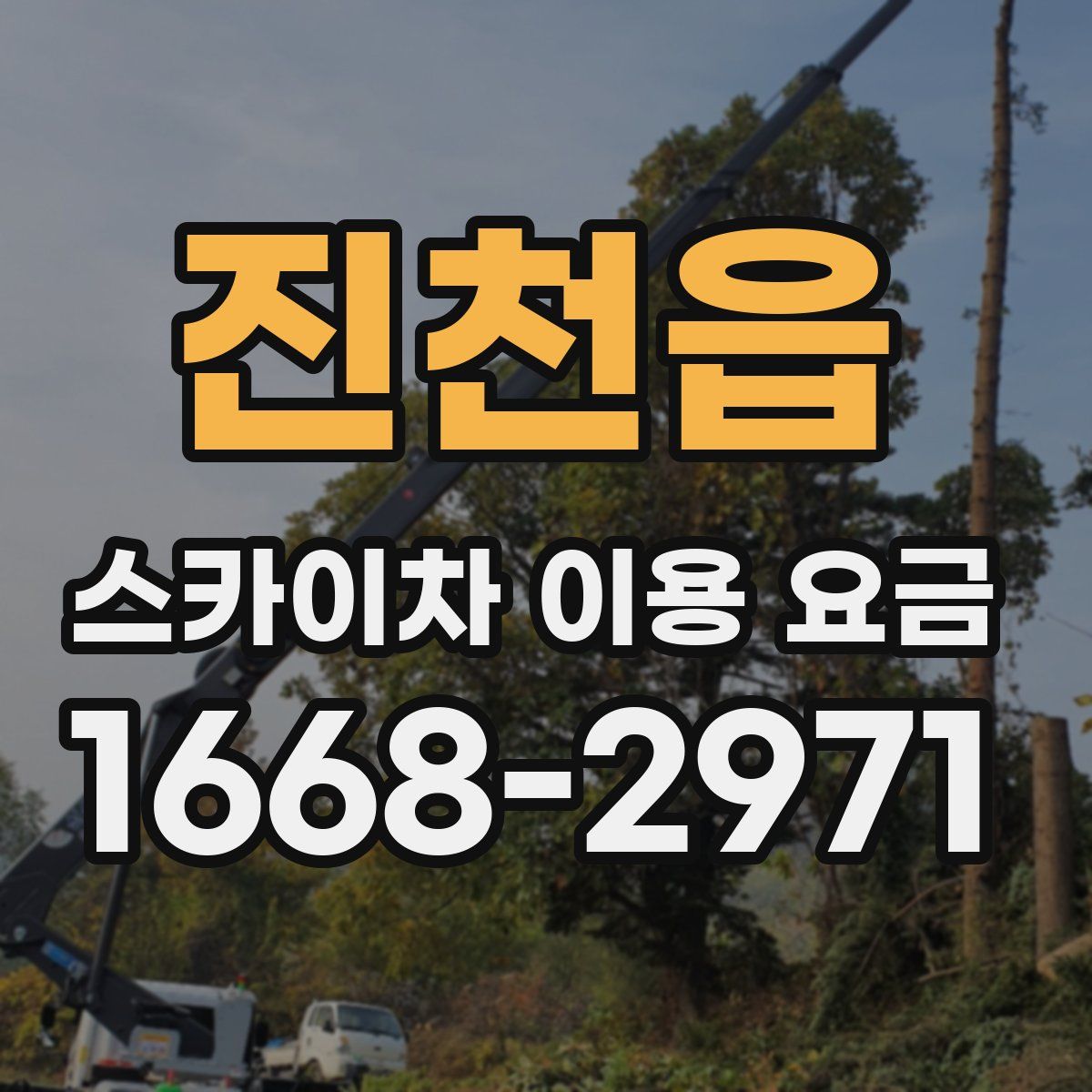진천읍 스카이차 이용 요금