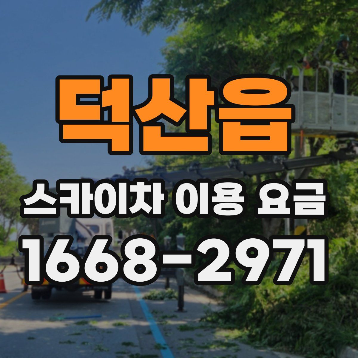덕산읍 스카이차 이용 요금
