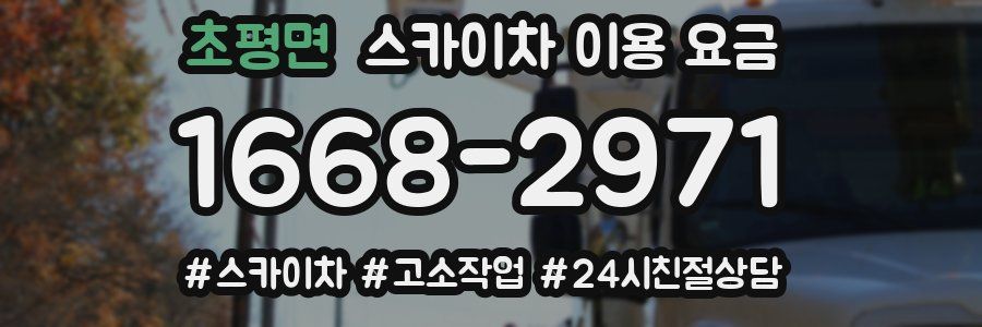 초평면 스카이차 이용 요금
