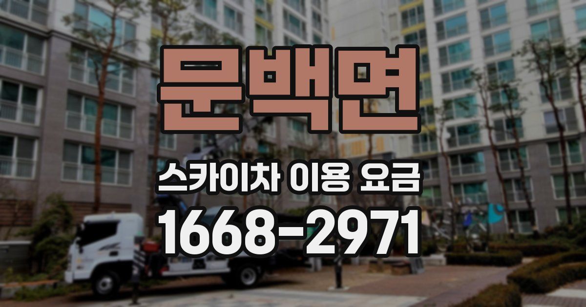 문백면 스카이차 이용 요금