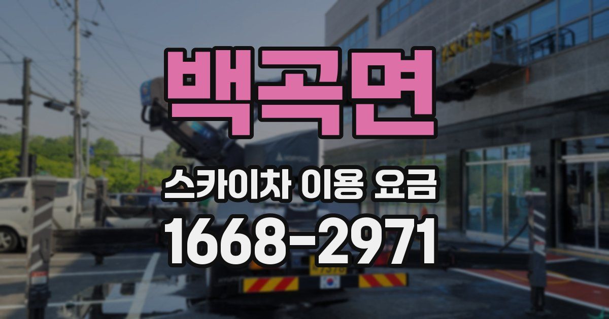 백곡면 스카이차 이용 요금