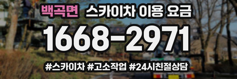 백곡면 스카이차 이용 요금