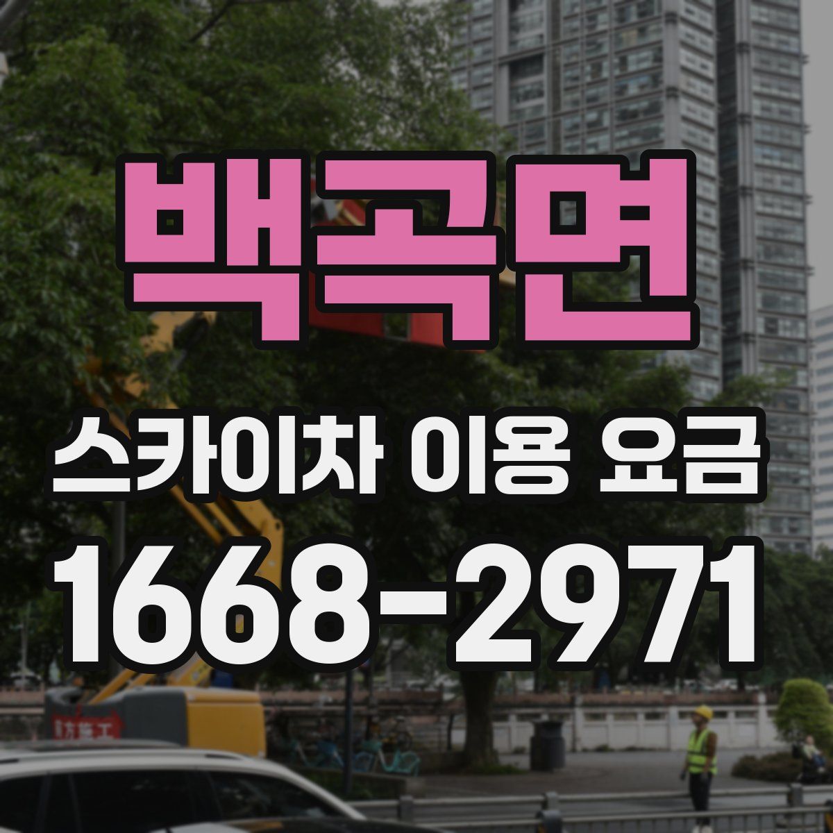 백곡면 스카이차 이용 요금