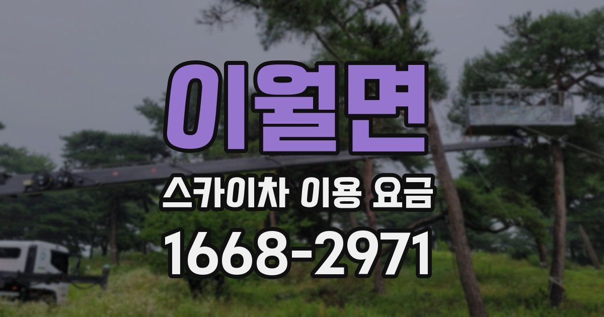 이월면 스카이차 이용 요금