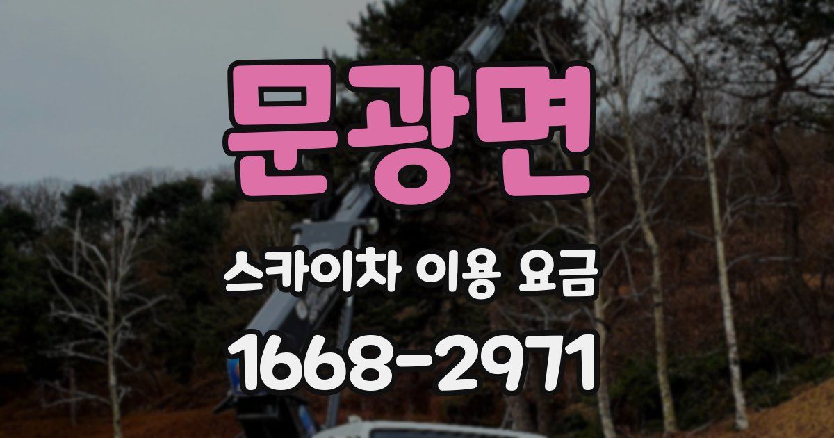 문광면 스카이차 이용 요금