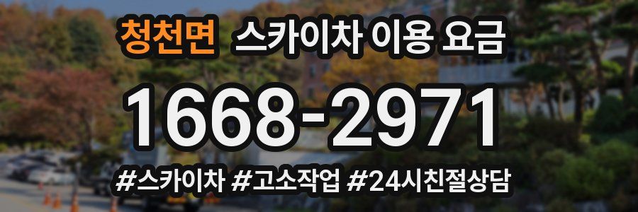 청천면 스카이차 이용 요금