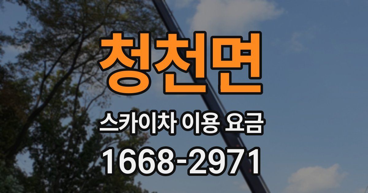 청천면 스카이차 이용 요금