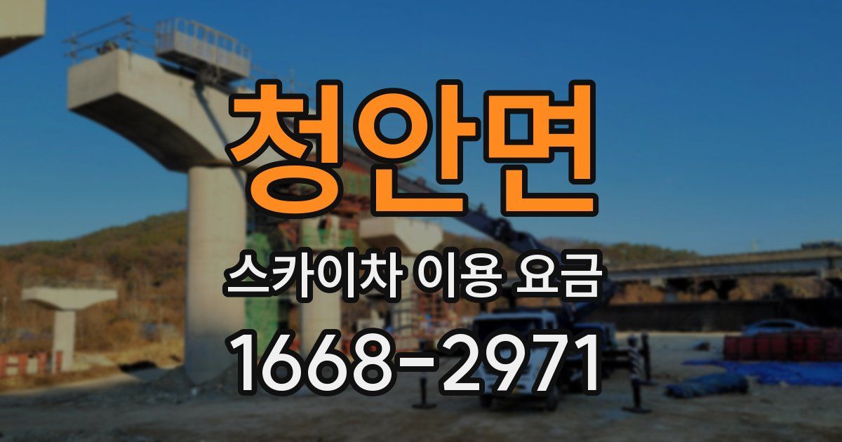 청안면 스카이차 이용 요금