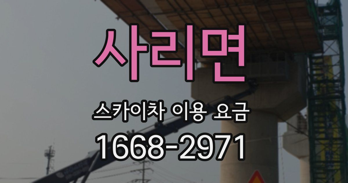 사리면 스카이차 이용 요금