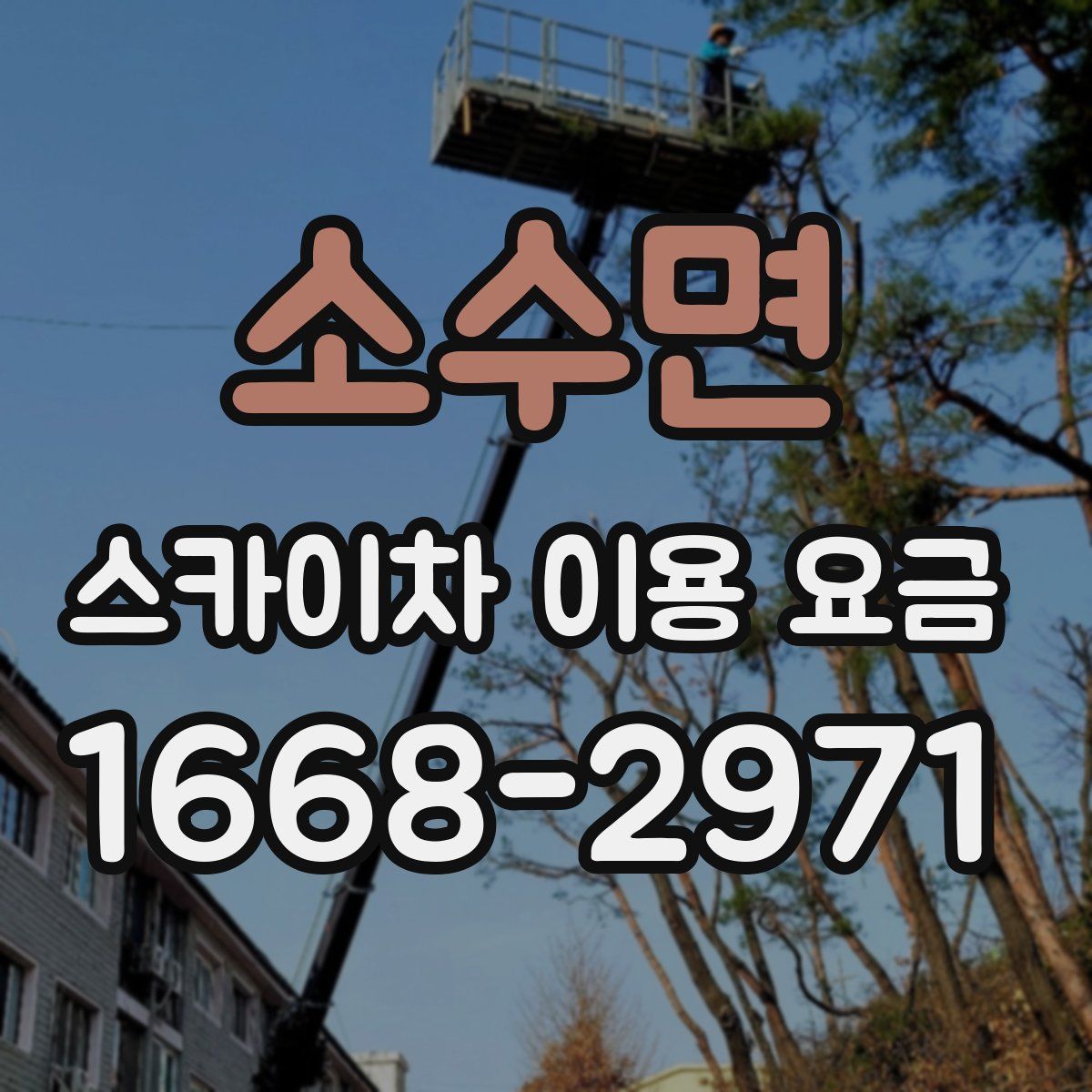 소수면 스카이차 이용 요금