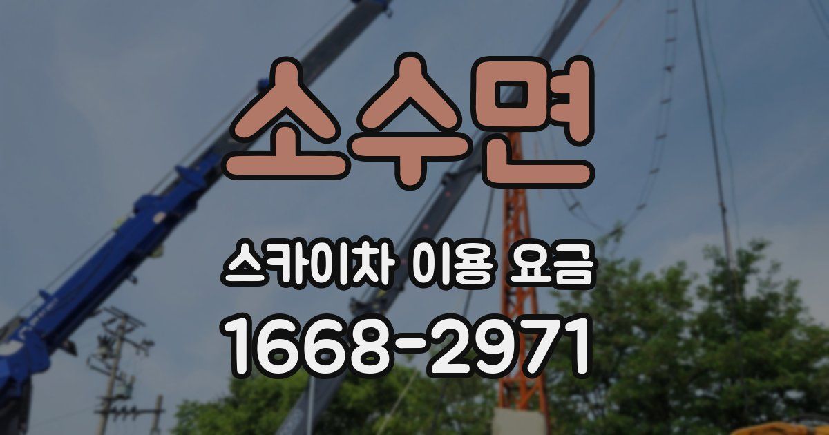 소수면 스카이차 이용 요금
