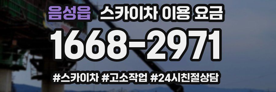 음성읍 스카이차 이용 요금