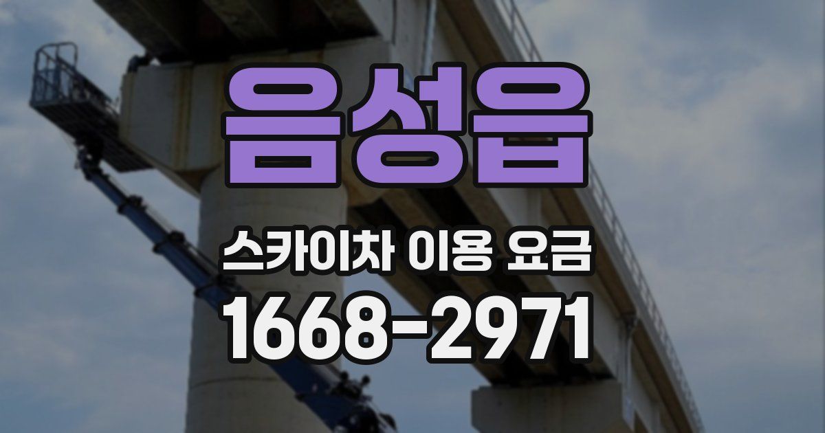 음성읍 스카이차 이용 요금