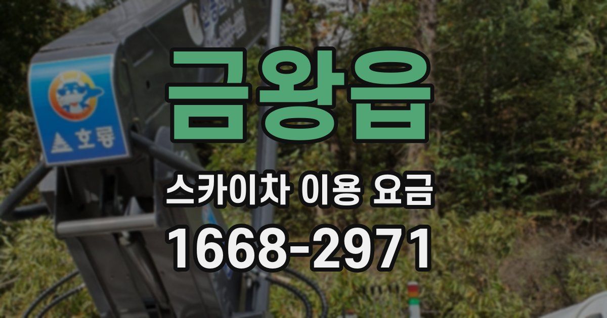 금왕읍 스카이차 이용 요금