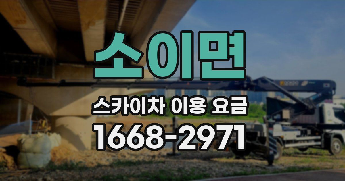 소이면 스카이차 이용 요금