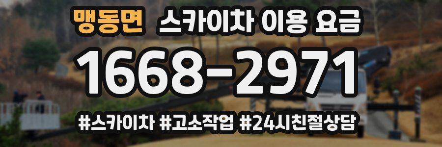 맹동면 스카이차 이용 요금