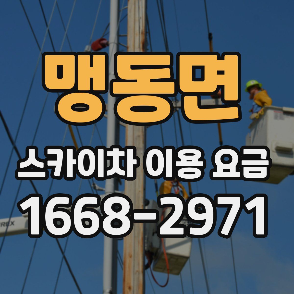 맹동면 스카이차 이용 요금