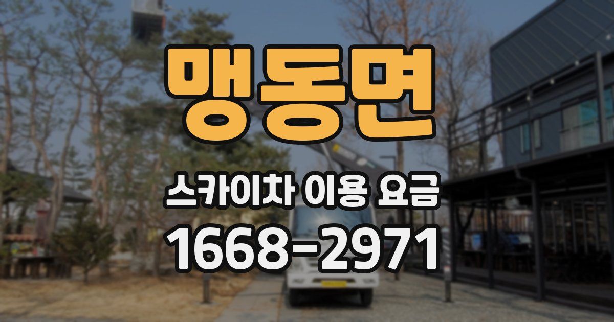 맹동면 스카이차 이용 요금