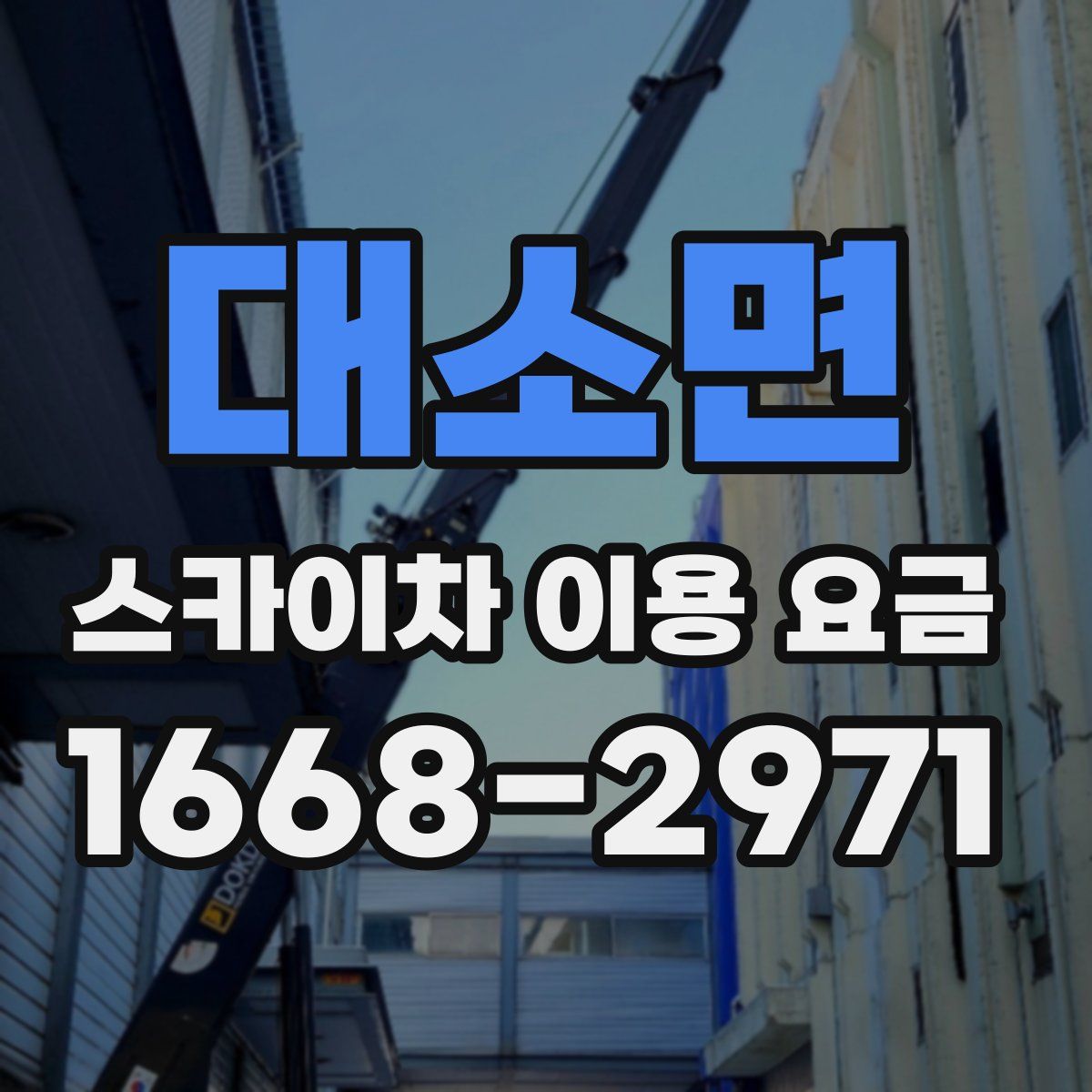 대소면 스카이차 이용 요금