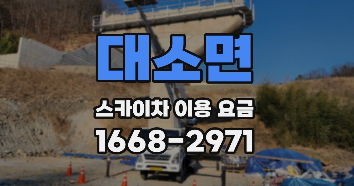 대소면 스카이차 이용 요금