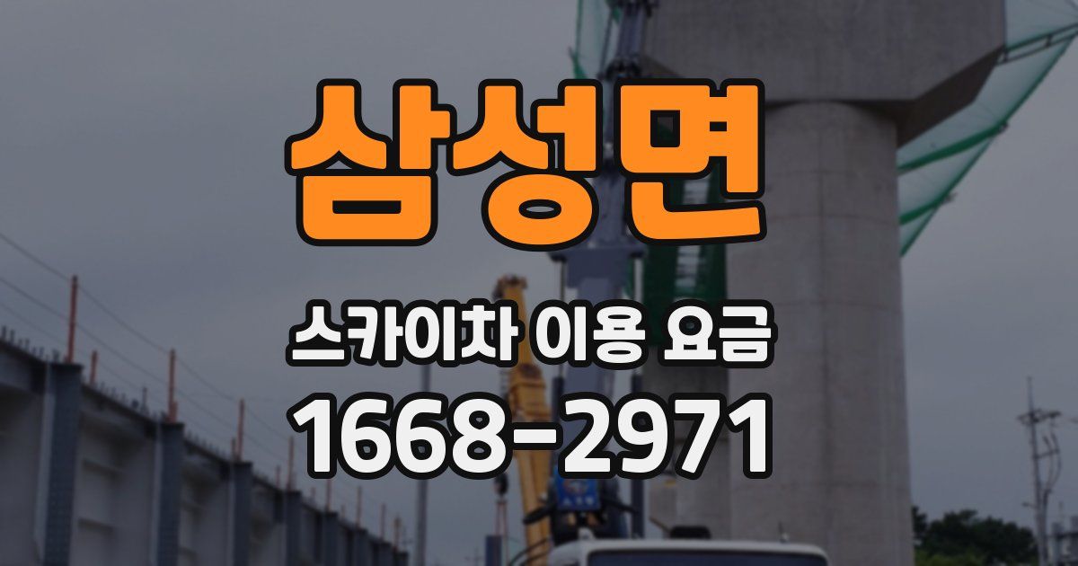 삼성면 스카이차 이용 요금