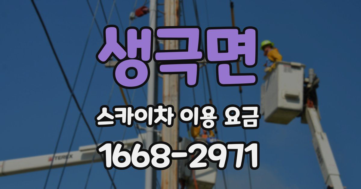 생극면 스카이차 이용 요금