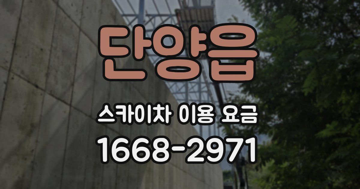 단양읍 스카이차 이용 요금