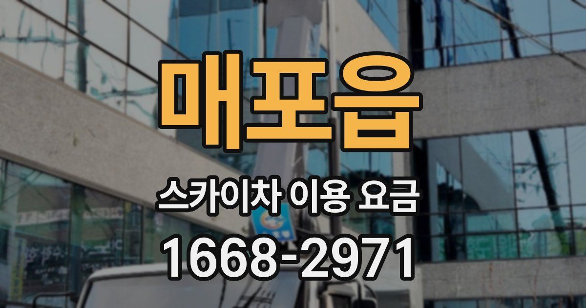매포읍 스카이차 이용 요금