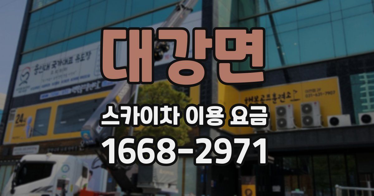 대강면 스카이차 이용 요금