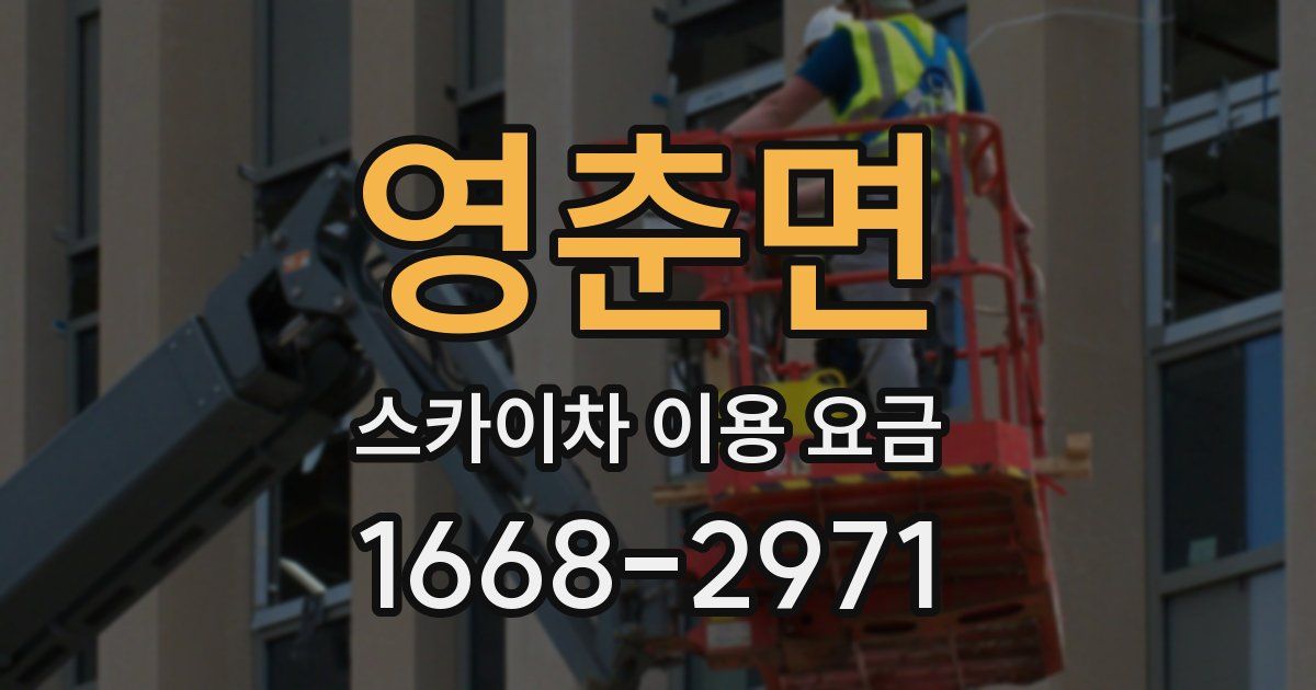 영춘면 스카이차 이용 요금