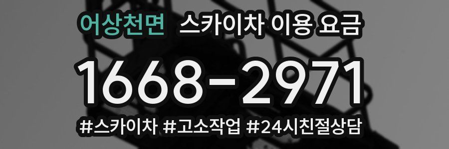 어상천면 스카이차 이용 요금