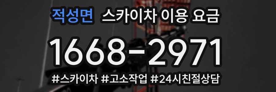 적성면 스카이차 이용 요금