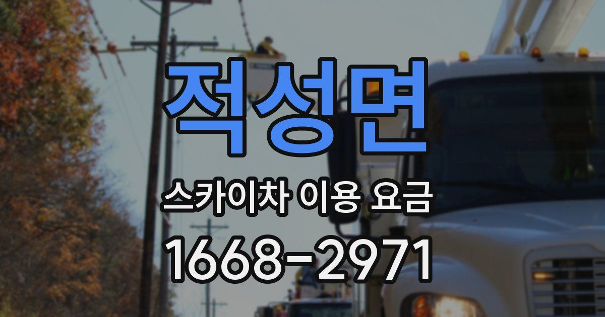 적성면 스카이차 이용 요금