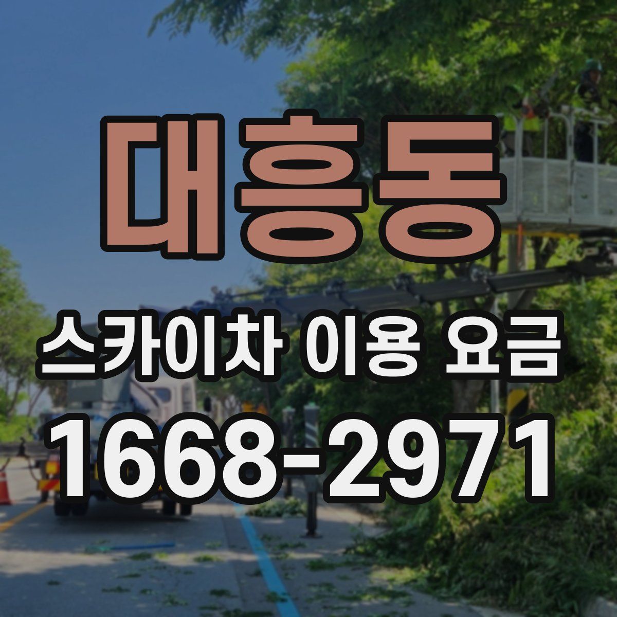 대흥동 스카이차 이용 요금