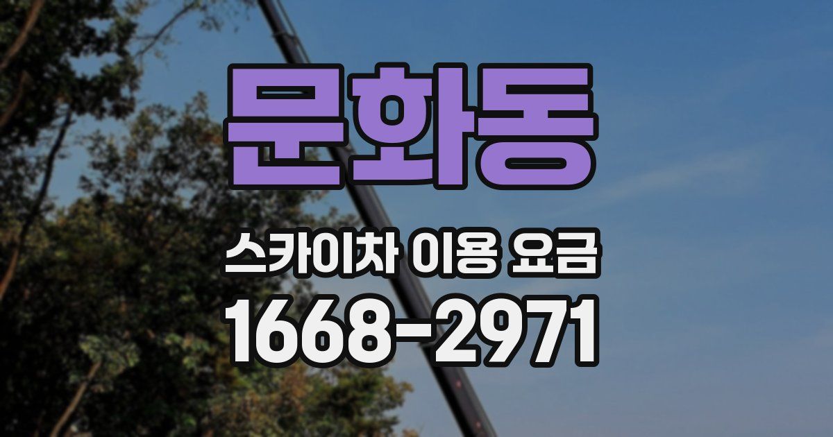 문화동 스카이차 이용 요금