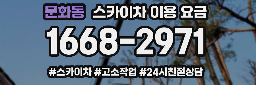 문화동 스카이차 이용 요금