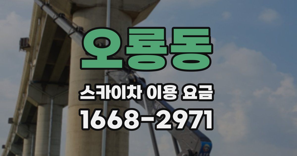 오룡동 스카이차 이용 요금