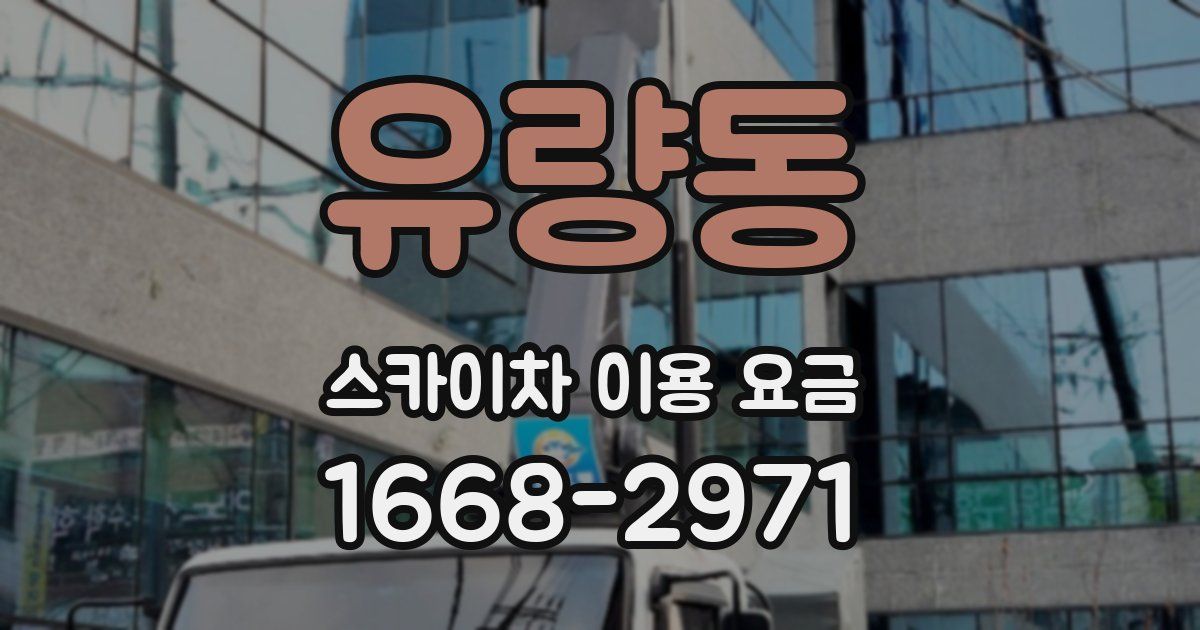 유량동 스카이차 이용 요금