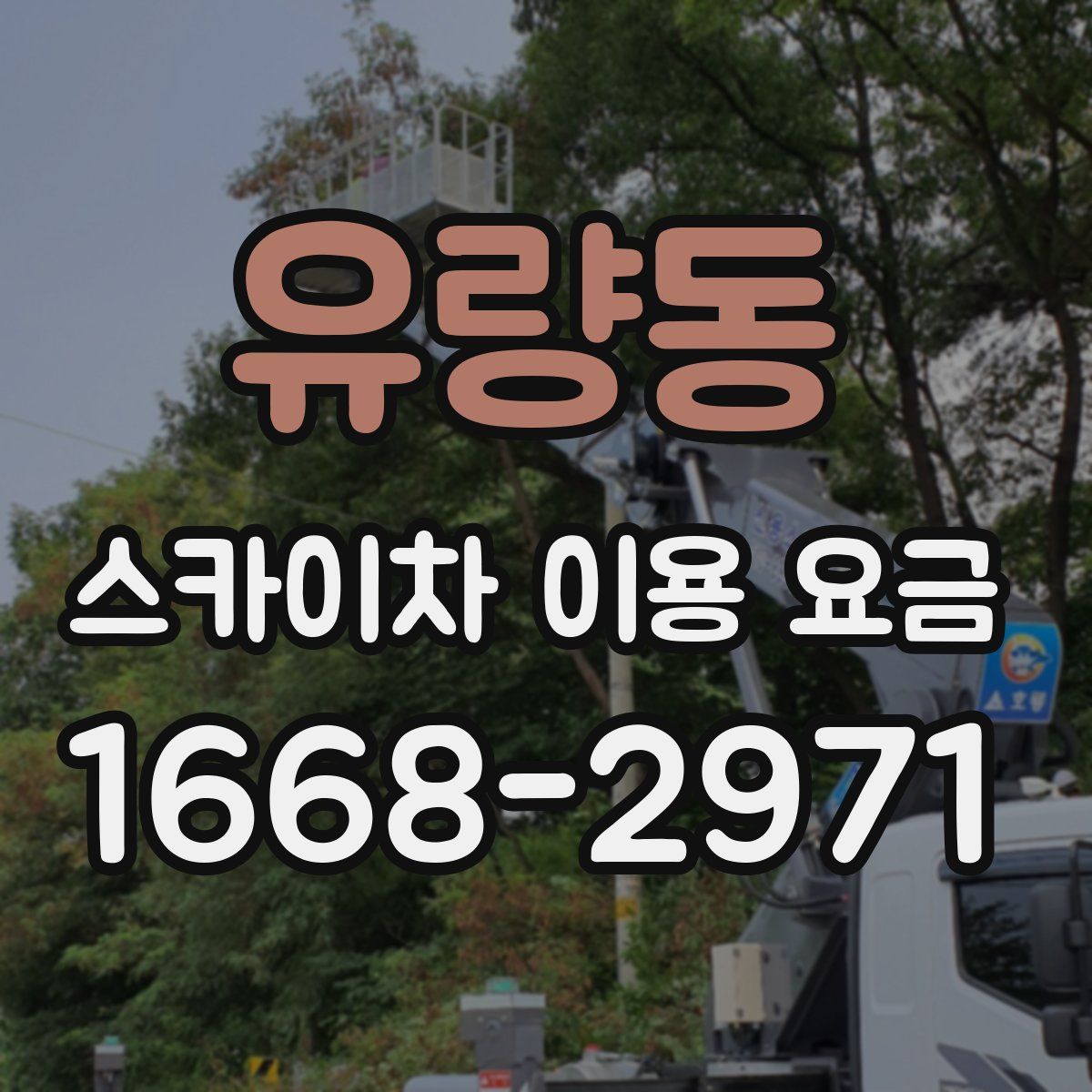 유량동 스카이차 이용 요금