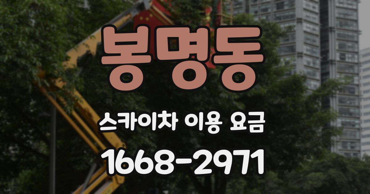 봉명동 스카이차 이용 요금