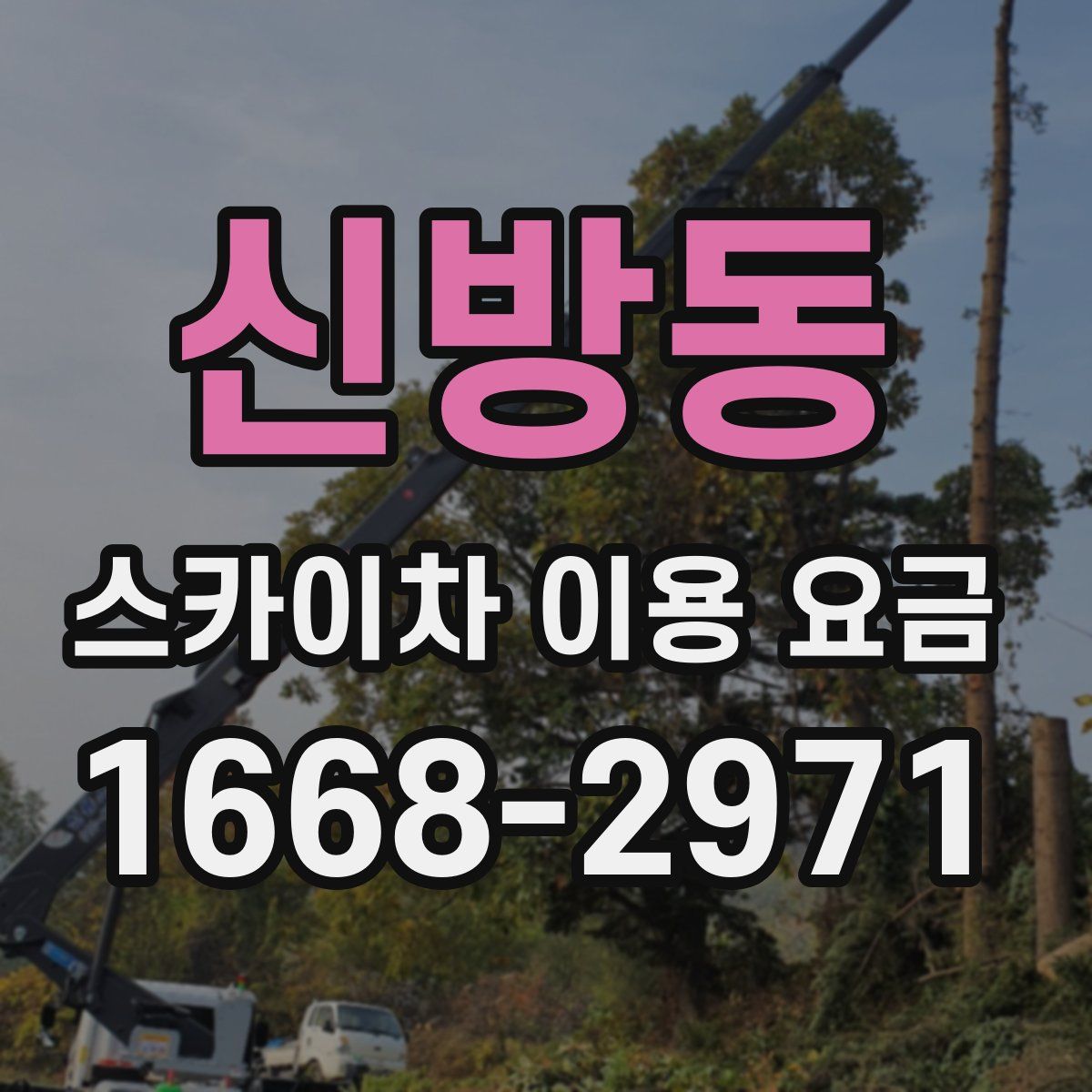신방동 스카이차 이용 요금