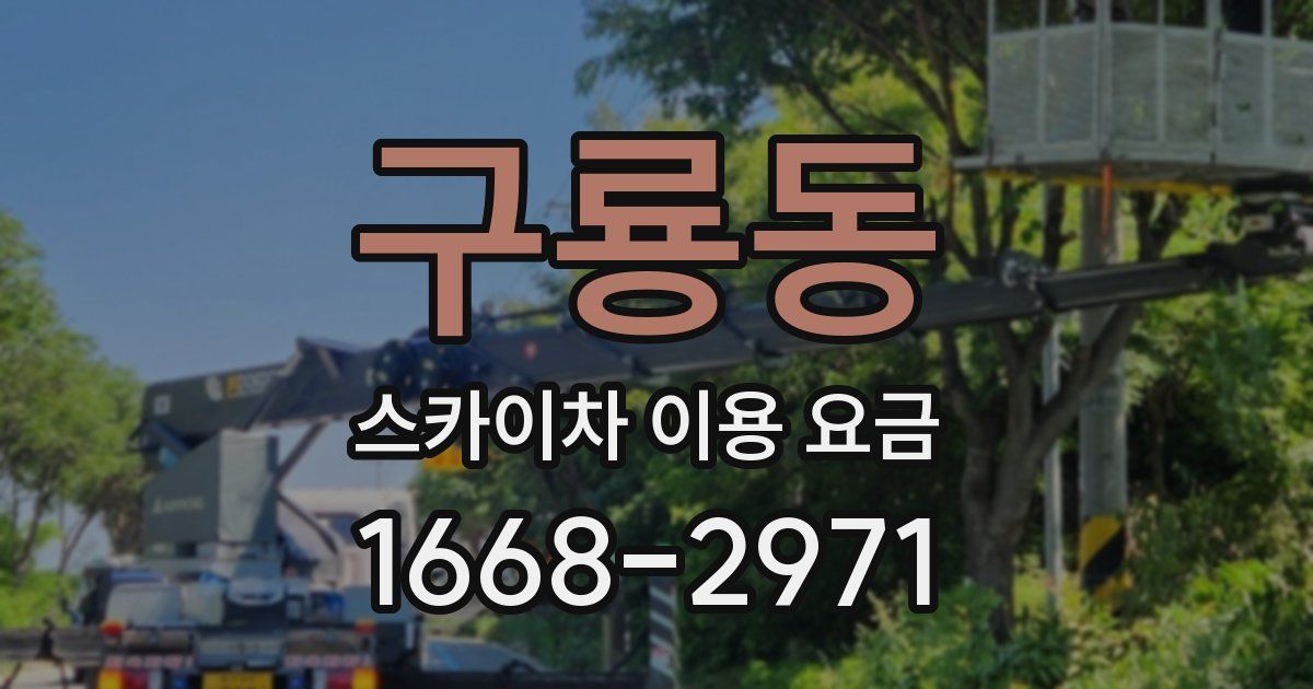 구룡동 스카이차 이용 요금