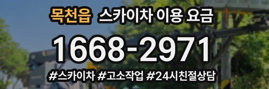 목천읍 스카이차 이용 요금
