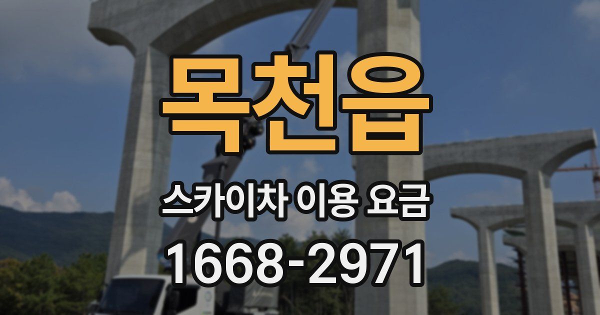 목천읍 스카이차 이용 요금