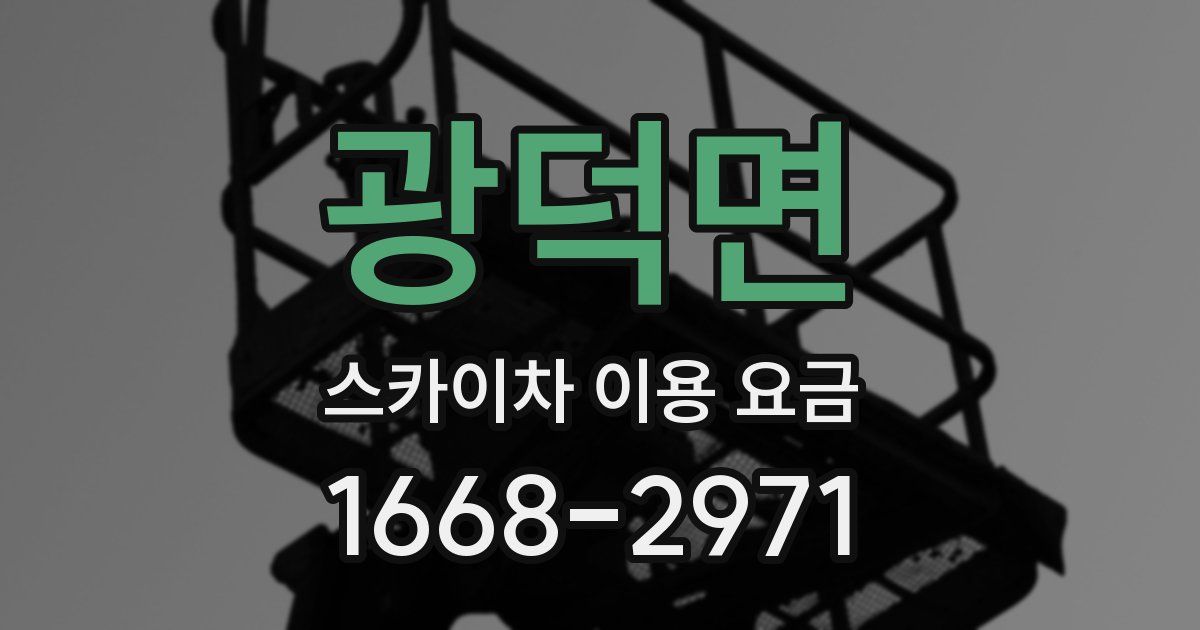 광덕면 스카이차 이용 요금