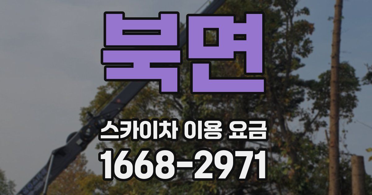 북면 스카이차 이용 요금