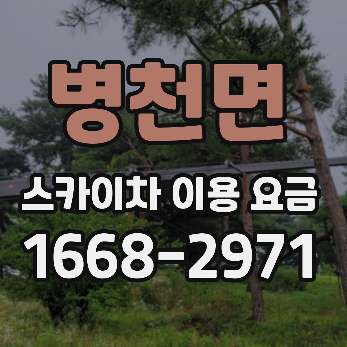 병천면 스카이차 이용 요금